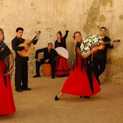 El Flamenco Vive, Semi Shoe for Introduction to Flamenco Dance